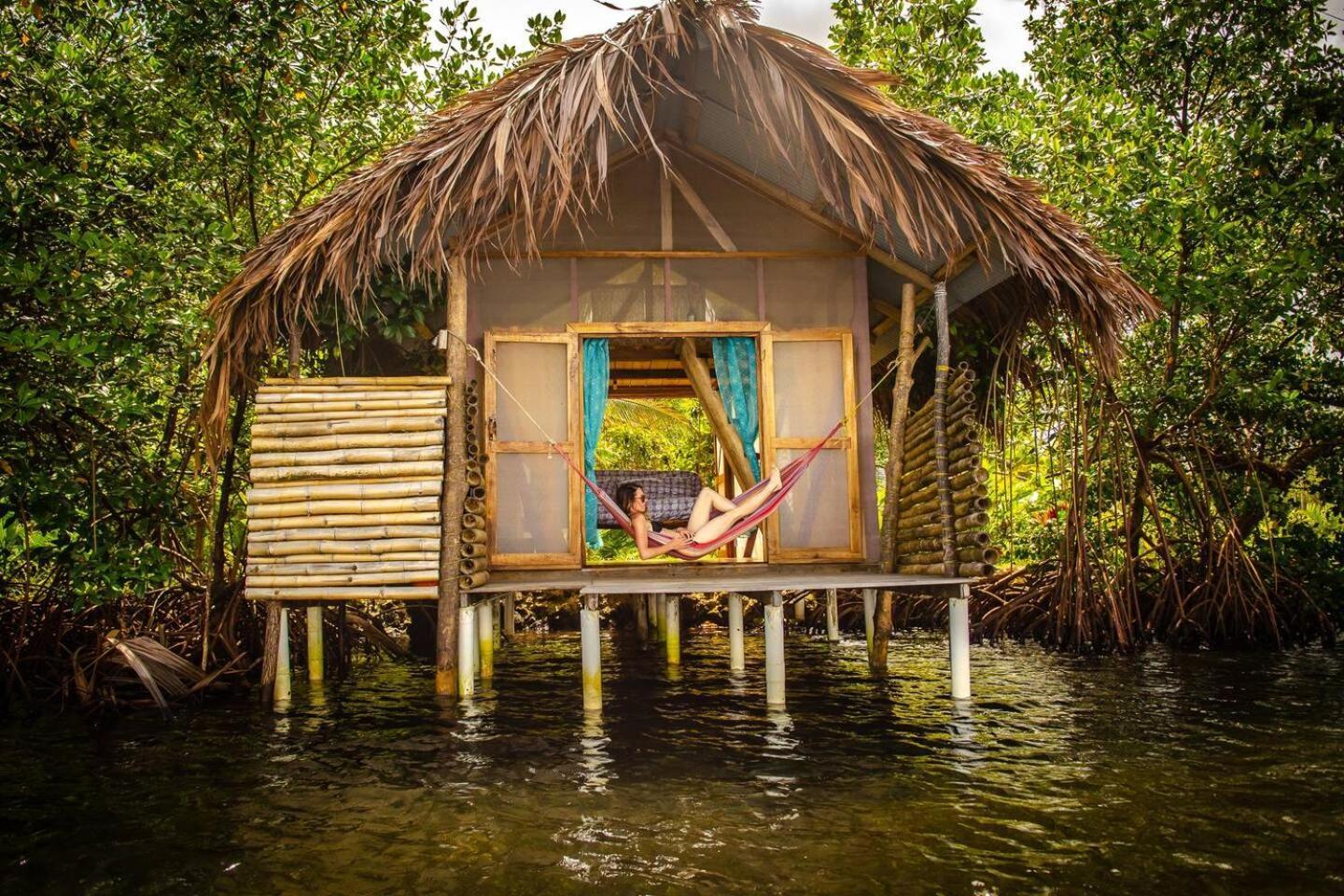 Cocovivo Hotel Bocas Town Luaran gambar