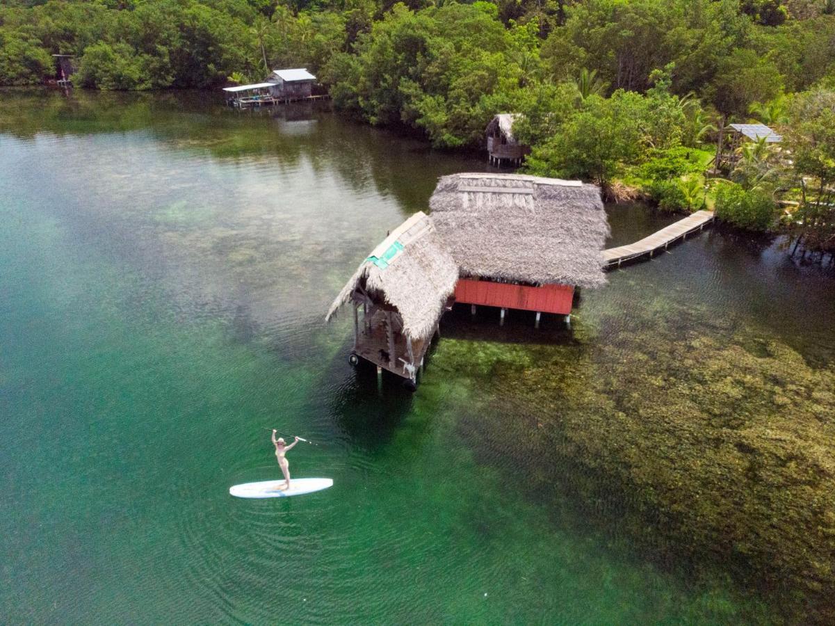 Cocovivo Hotel Bocas Town Luaran gambar