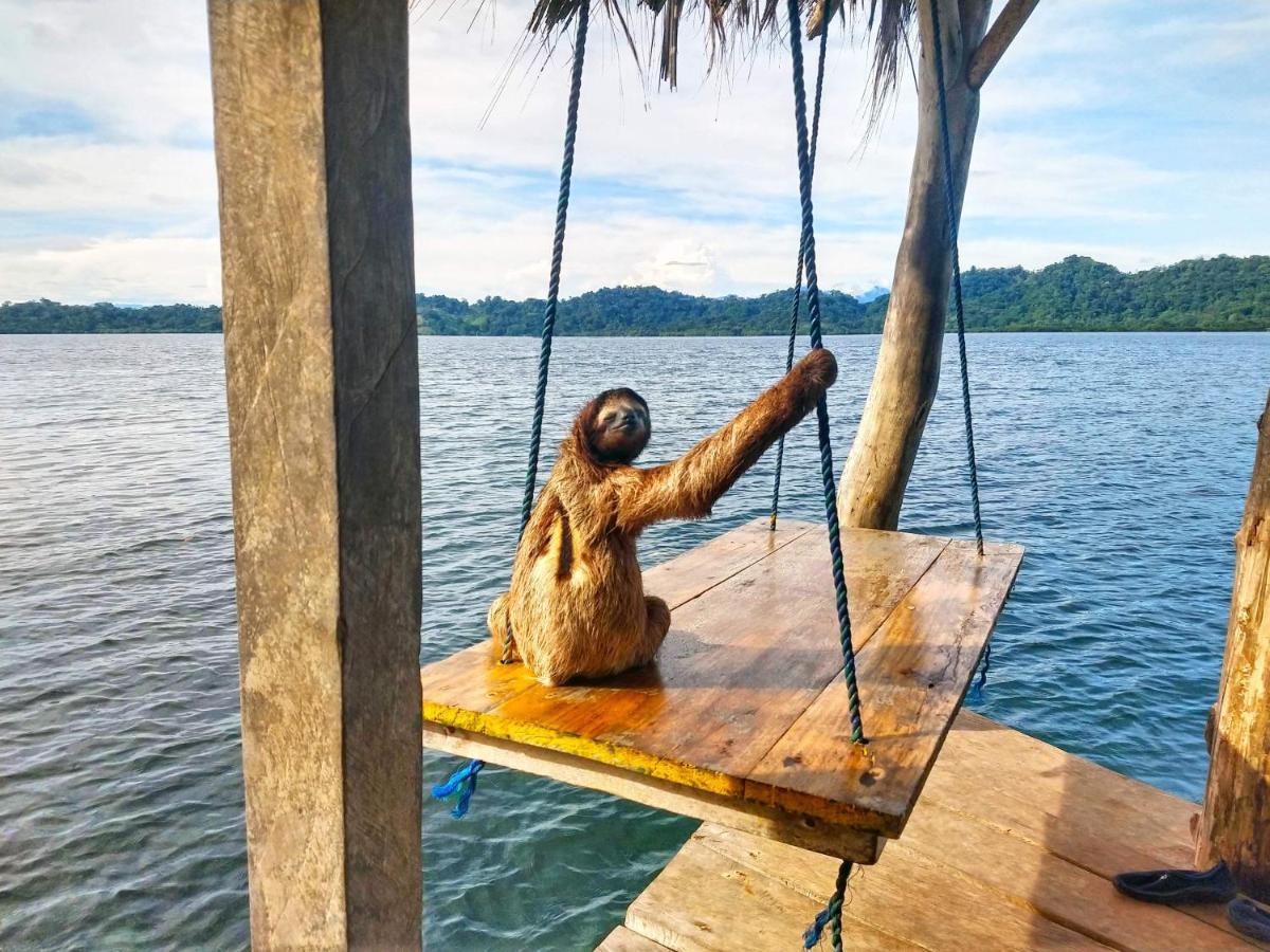 Cocovivo Hotel Bocas Town Luaran gambar