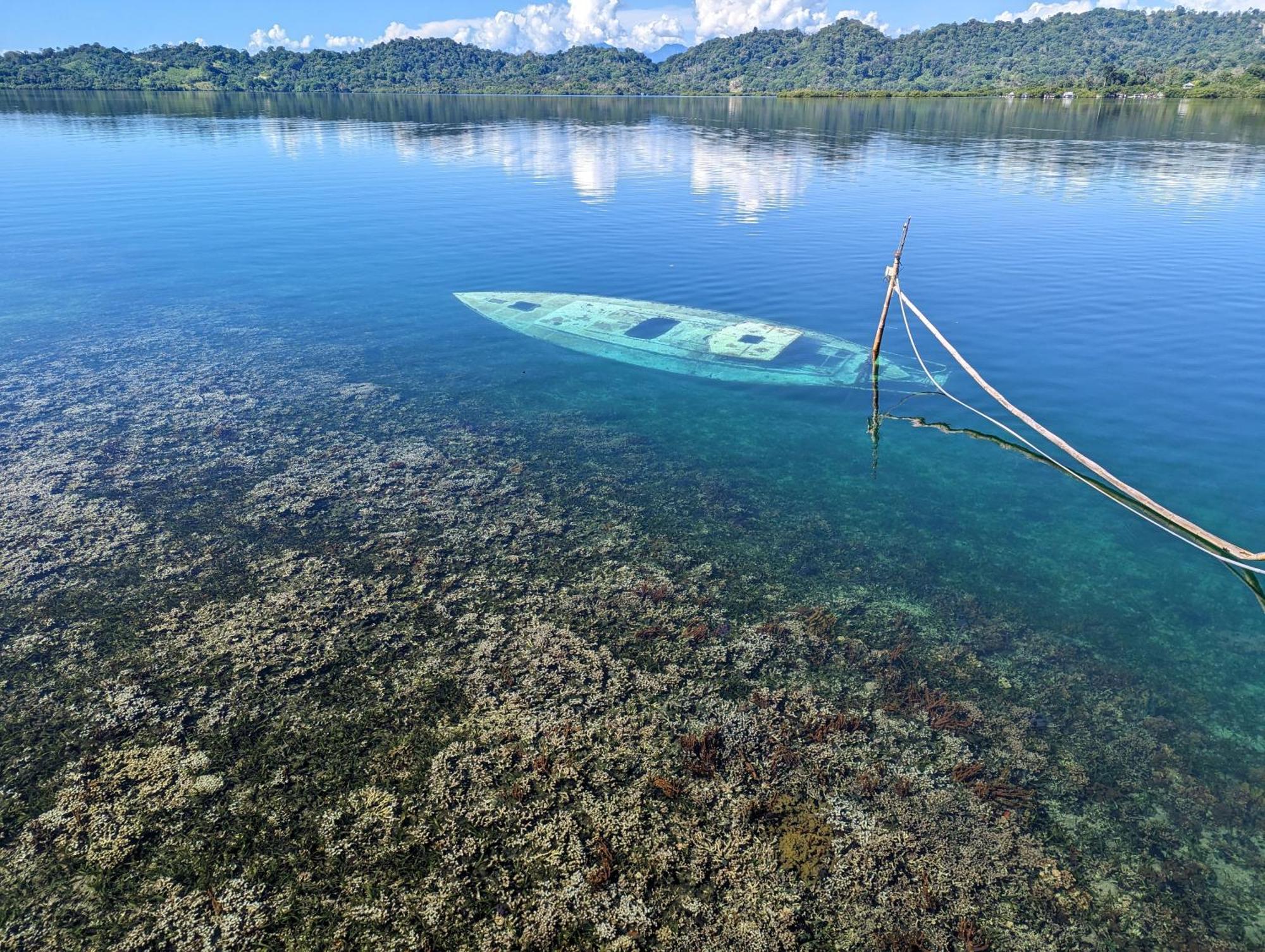 Cocovivo Hotel Bocas Town Luaran gambar