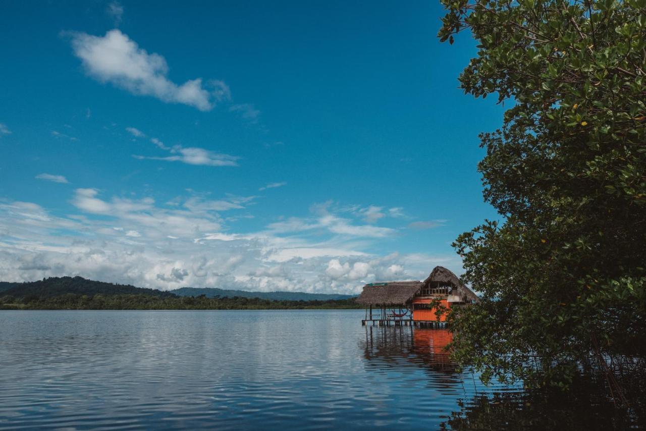 Cocovivo Hotel Bocas Town Luaran gambar